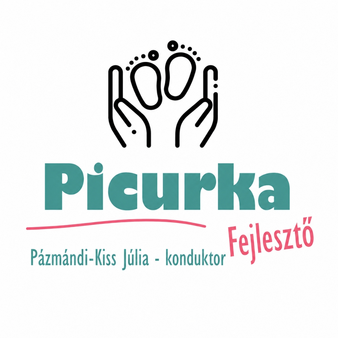 Picurka Fejlesztő